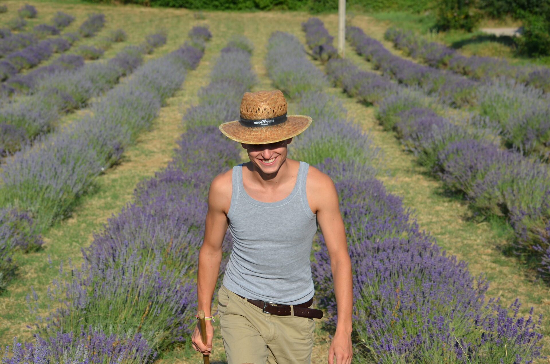 Caruel — lavanda toscana